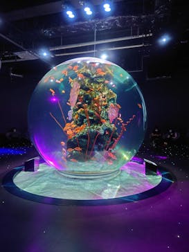 felissimo chocolate museum（フェリシモチョコレートミュージアム）に投稿された画像（2022/10/3）