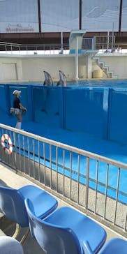 伊豆・三津シーパラダイスに投稿された画像（2022/10/3）