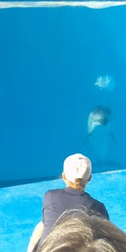 伊豆・三津シーパラダイスに投稿された画像（2022/10/3）