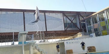 伊豆・三津シーパラダイスに投稿された画像（2022/10/3）