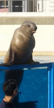 伊豆・三津シーパラダイスに投稿された画像（2022/10/3）