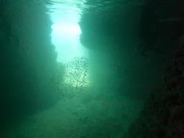 武藤潜水に投稿された画像（2022/10/3）