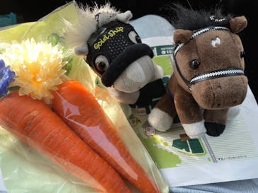 ノーザンホースパークに投稿された画像（2022/10/3）