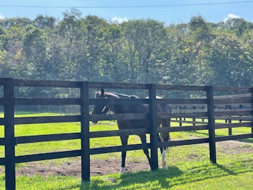 ノーザンホースパークに投稿された画像（2022/10/3）