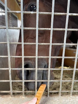 ノーザンホースパークに投稿された画像（2022/10/3）