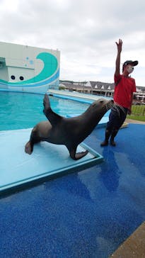 南知多ビーチランド＆南知多おもちゃ王国に投稿された画像（2022/10/3）