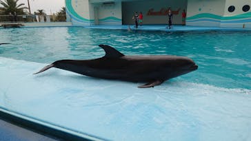 南知多ビーチランド＆南知多おもちゃ王国に投稿された画像（2022/10/3）