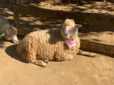 成田ゆめ牧場に投稿された画像（2022/10/3）