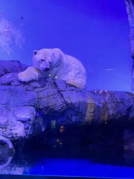 横浜・八景島シーパラダイスに投稿された画像（2022/10/3）