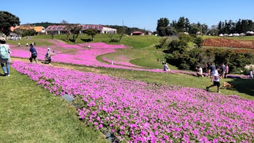 マザー牧場に投稿された画像（2022/10/3）