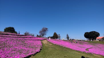 マザー牧場に投稿された画像（2022/10/3）