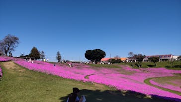 マザー牧場に投稿された画像（2022/10/3）