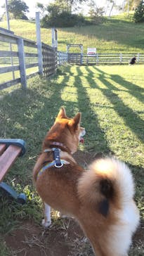 マザー牧場に投稿された画像（2022/10/3）