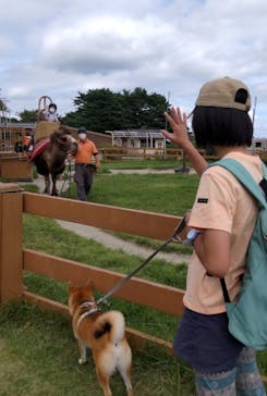 那須どうぶつ王国に投稿された画像（2022/10/3）