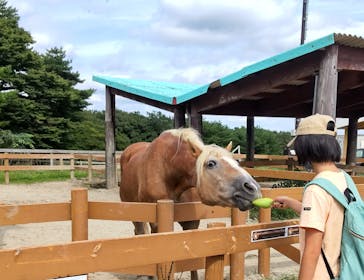 那須どうぶつ王国に投稿された画像（2022/10/3）