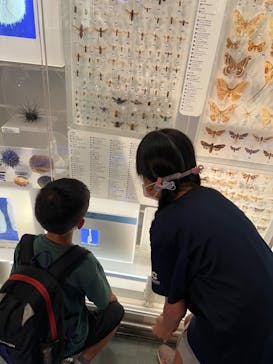 国立科学博物館に投稿された画像（2022/10/3）