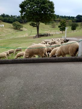 伊香保グリーン牧場に投稿された画像（2022/10/3）