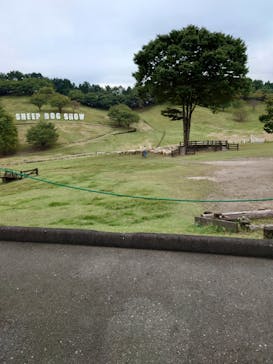 伊香保グリーン牧場に投稿された画像（2022/10/3）