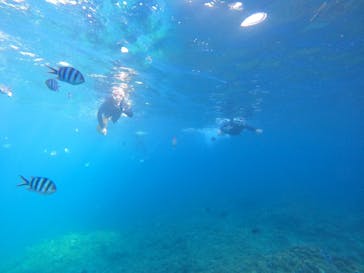 沖縄マリンサービス碧に投稿された画像（2022/10/3）