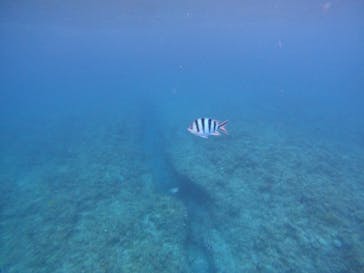 沖縄マリンサービス碧に投稿された画像（2022/10/3）