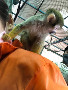 那須ワールドモンキーパークに投稿された画像（2022/10/3）