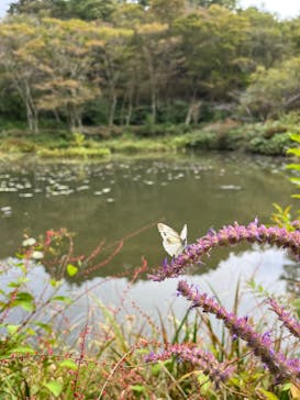 六甲高山植物園に投稿された画像（2022/10/3）