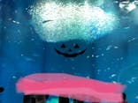 アクアワールド茨城県大洗水族館に投稿された画像（2022/10/3）