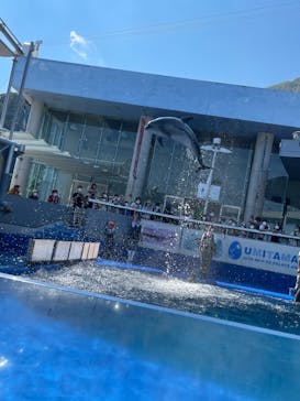 大分マリーンパレス水族館 「うみたまご」に投稿された画像（2022/10/3）