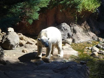 よこはま動物園ズーラシアに投稿された画像（2022/10/3）