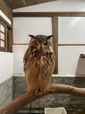 富士花鳥園に投稿された画像（2022/10/3）