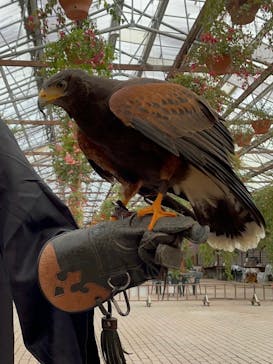 富士花鳥園に投稿された画像（2022/10/3）