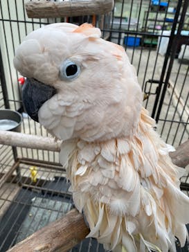 富士花鳥園に投稿された画像（2022/10/3）