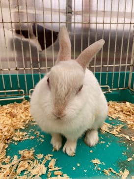 富士花鳥園に投稿された画像（2022/10/3）