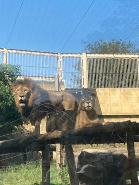 東武動物公園に投稿された画像（2022/10/3）