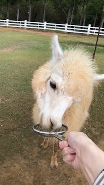 牧歌の里に投稿された画像（2022/10/3）