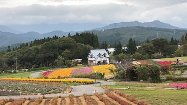 牧歌の里に投稿された画像（2022/10/3）