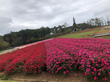 牧歌の里に投稿された画像（2022/10/3）