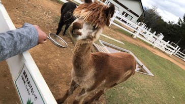 牧歌の里に投稿された画像（2022/10/3）