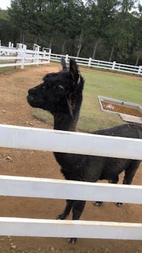 牧歌の里に投稿された画像（2022/10/3）