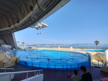 マリンワールド海の中道に投稿された画像（2022/10/3）