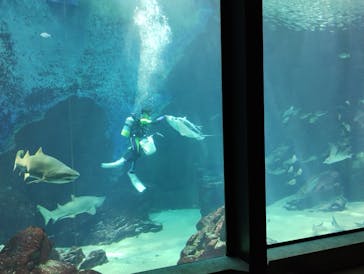 マリンワールド海の中道に投稿された画像（2022/10/3）