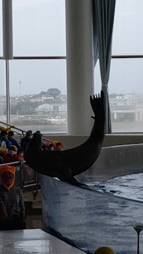 アクアワールド茨城県大洗水族館に投稿された画像（2022/10/3）