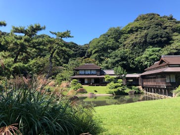 三溪園に投稿された画像（2022/10/3）