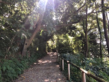 三溪園に投稿された画像（2022/10/3）