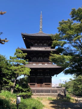 三溪園に投稿された画像（2022/10/3）