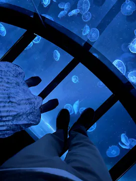 すみだ水族館に投稿された画像（2022/10/3）