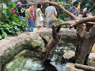 神戸どうぶつ王国に投稿された画像（2022/10/3）