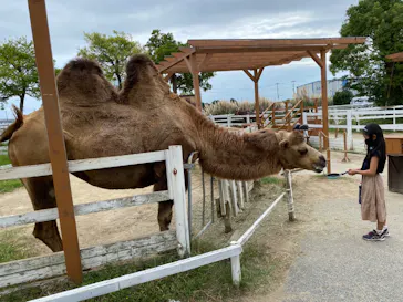 神戸どうぶつ王国に投稿された画像（2022/10/3）