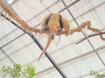 神戸どうぶつ王国に投稿された画像（2022/10/3）