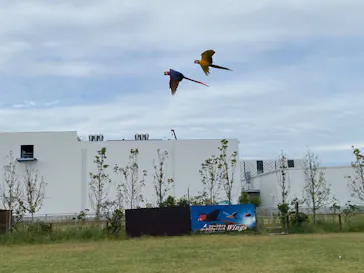 神戸どうぶつ王国に投稿された画像（2022/10/3）